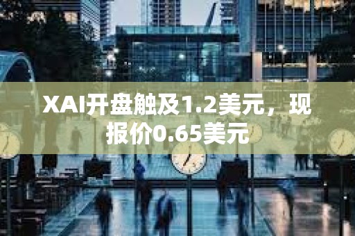 XAI開盤觸及1.2美元，現報價0.65美元