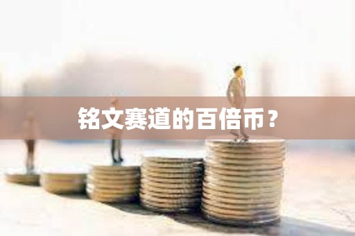 銘文賽道的百倍幣？