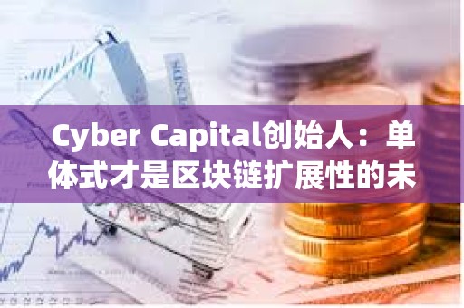 Cyber Capital創始人：單體式才是區塊鏈擴展性的未來