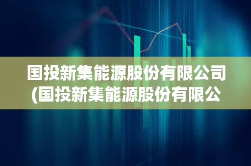 國投新集能源股份有限公司(國投新集能源股份有限公司董事長)