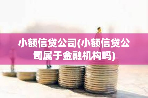 小額信貸公司(小額信貸公司屬于金融機構嗎) 小額信貸公司(小額信貸公司屬于金融機構嗎)