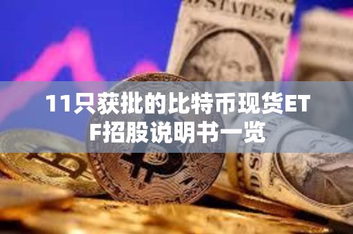 11只獲批的比特幣現(xiàn)貨ETF招股說(shuō)明書(shū)一覽
