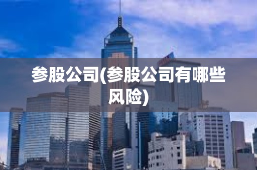 參股公司(參股公司有哪些風險)