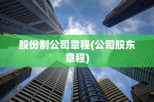 股份制公司章程(公司股東章程)
