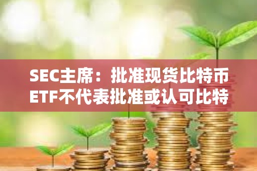 SEC主席：批準現貨比特幣ETF不代表批準或認可比特幣