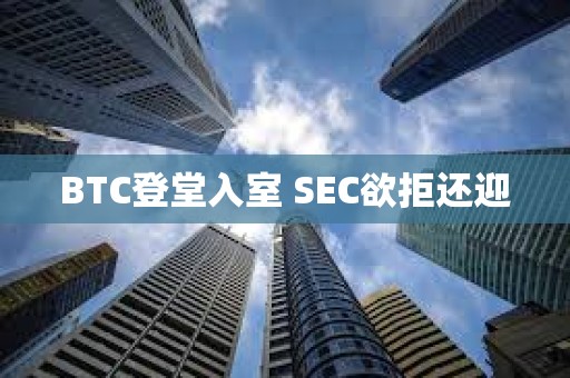 BTC登堂入室 SEC欲拒還迎