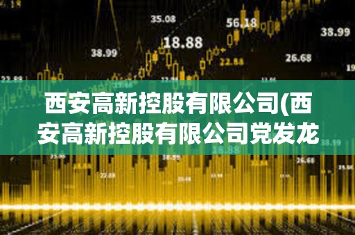 西安高新控股有限公司(西安高新控股有限公司黨發(fā)龍)