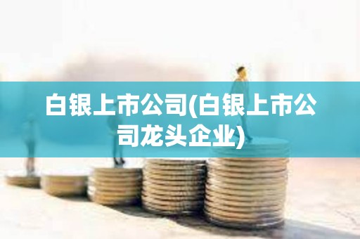 白銀上市公司(白銀上市公司龍頭企業)
