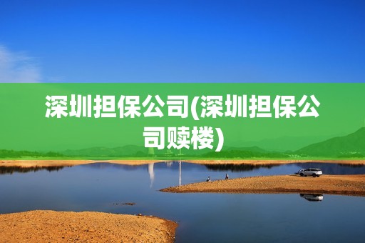 深圳擔保公司(深圳擔保公司贖樓) 深圳擔保公司(深圳擔保公司贖樓)