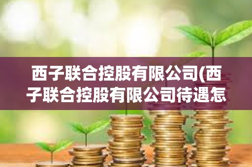 西子聯合控股有限公司(西子聯合控股有限公司待遇怎么樣)