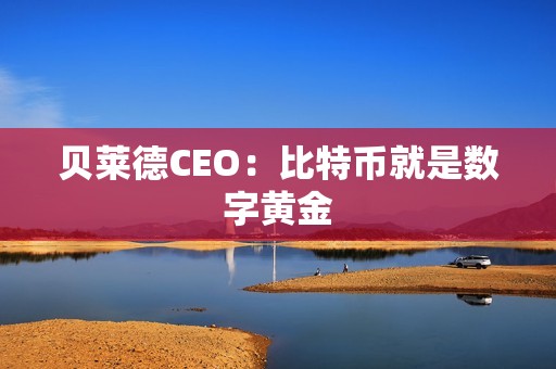 貝萊德CEO：比特幣就是數(shù)字黃金