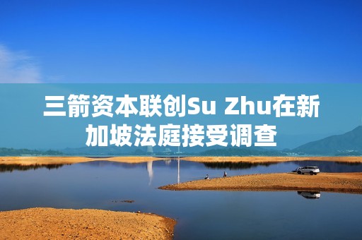 三箭資本聯創Su Zhu在新加坡法庭接受調查