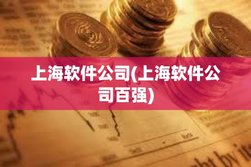 上海軟件公司(上海軟件公司百強) 上海軟件公司(上海軟件公司百強)