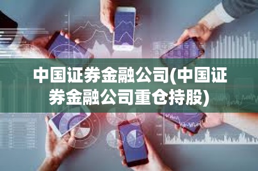 中國證券金融公司(中國證券金融公司重倉持股)