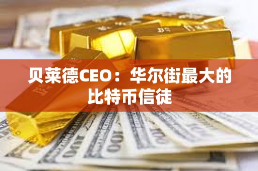貝萊德CEO：華爾街最大的比特幣信徒