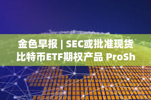 金色早報 | SEC或批準現貨比特幣ETF期權產品 ProShares遞交杠桿類現貨比特幣ETF申請
