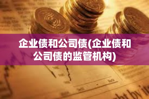 企業(yè)債和公司債(企業(yè)債和公司債的監(jiān)管機(jī)構(gòu))