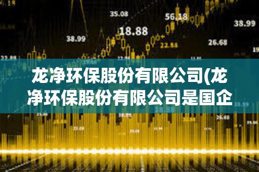龍凈環(huán)保股份有限公司(龍凈環(huán)保股份有限公司是國(guó)企嗎)