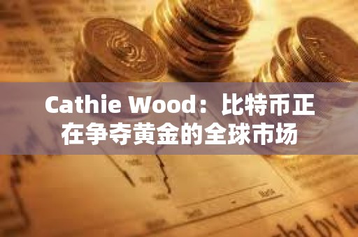 Cathie Wood：比特幣正在爭(zhēng)奪黃金的全球市場(chǎng)