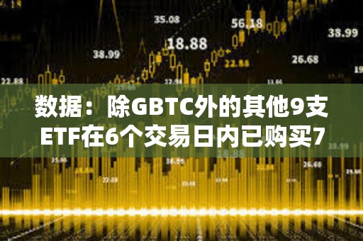 數據：除GBTC外的其他9支ETF在6個交易日內已購買7.96萬枚BTC