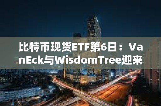 比特幣現貨ETF第6日：VanEck與WisdomTree迎來獲批后流入量最好的一天