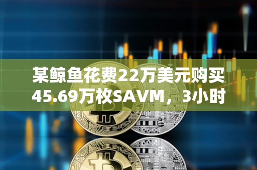 某鯨魚花費22萬美元購買45.69萬枚SAVM，3小時內獲利100萬美元