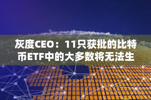 灰度CEO:11只獲批的比特幣ETF中的大多數將無法生存 灰度CEO:11只獲批的比特幣ETF中的大多數將無法生存