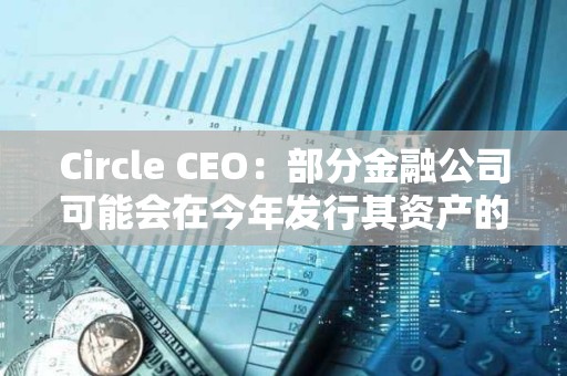 Circle CEO：部分金融公司可能會在今年發行其資產的代幣化版本