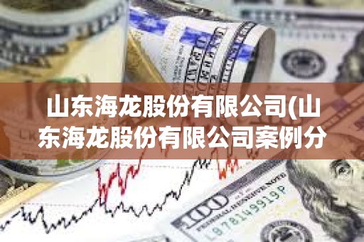 山東海龍股份有限公司(山東海龍股份有限公司案例分析)