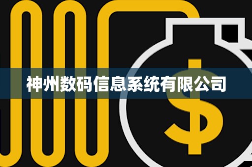 神州數(shù)碼信息系統(tǒng)有限公司