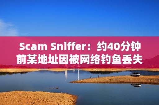 Scam Sniffer：約40分鐘前某地址因被網(wǎng)絡(luò)釣魚丟失價(jià)值420萬美元aEthWETH和aEthUNI