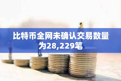 比特幣全網未確認交易數量為28,229筆