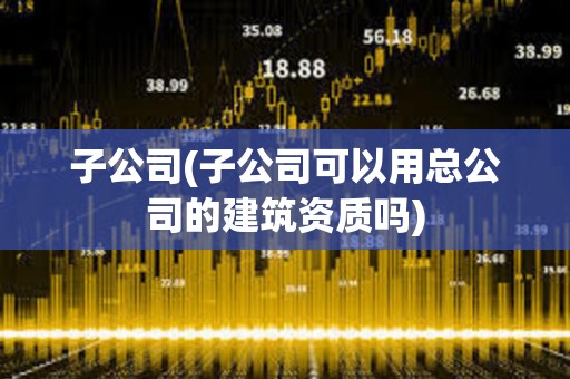 子公司(子公司可以用總公司的建筑資質嗎)