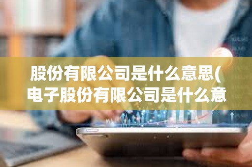 股份有限公司是什么意思(電子股份有限公司是什么意思)