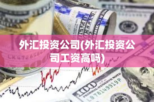 外匯投資公司(外匯投資公司工資高嗎)