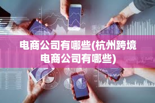 電商公司有哪些(杭州跨境電商公司有哪些)