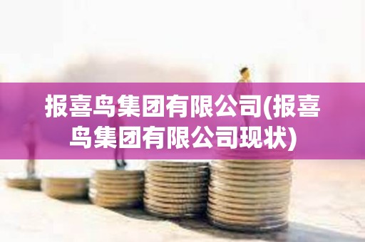 報喜鳥集團有限公司(報喜鳥集團有限公司現狀)