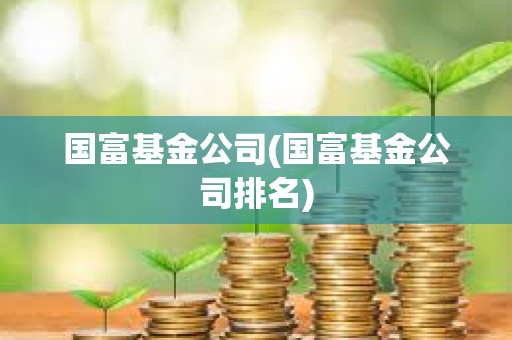 國富基金公司(國富基金公司排名)