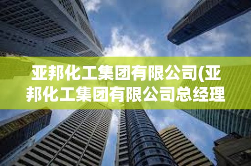 亞邦化工集團有限公司(亞邦化工集團有限公司總經理)