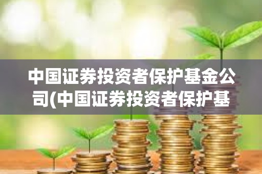 中國證券投資者保護基金公司(中國證券投資者保護基金公司董事長)