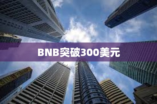 BNB突破300美元