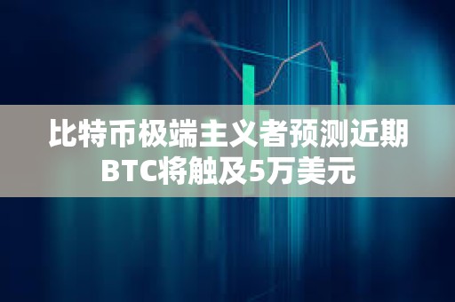 比特幣極端主義者預測近期BTC將觸及5萬美元