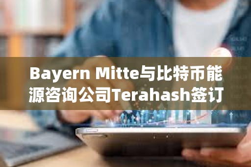 Bayern Mitte與比特幣能源咨詢公司Terahash簽訂合作協議
