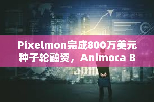 Pixelmon完成800萬美元種子輪融資，Animoca Brands等參投