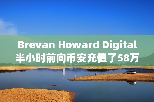 Brevan Howard Digital半小時前向幣安充值了58萬枚LDO