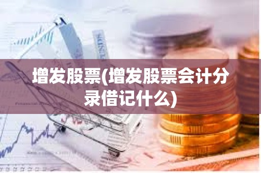 增發(fā)股票(增發(fā)股票會計分錄借記什么)