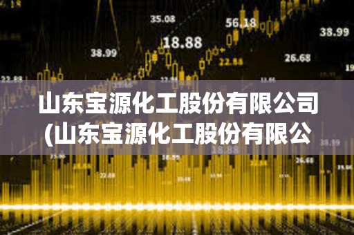 山東寶源化工股份有限公司(山東寶源化工股份有限公司準備搬遷到哪里)