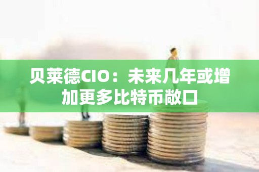 貝萊德CIO：未來(lái)幾年或增加更多比特幣敞口
