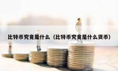 比特幣究竟是什么（比特幣究竟是什么貨幣）