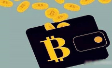 通用的數字貨幣錢包,怎么注冊數字貨幣錢包